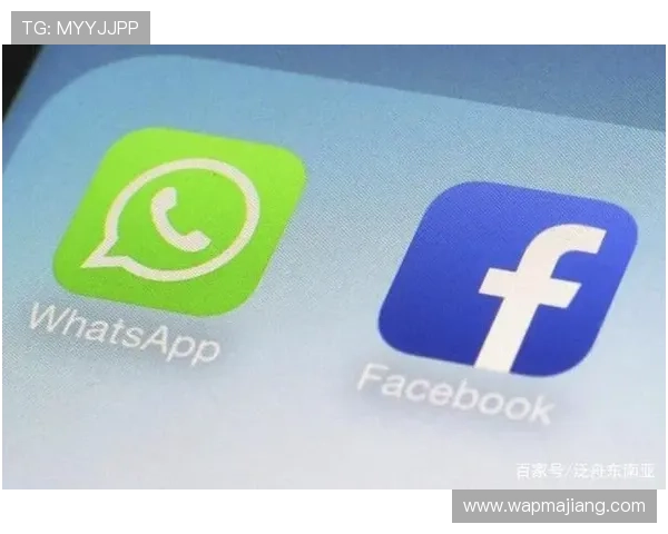 如何安全下载安装凯发集团app，保障账号信息安全与隐私保护